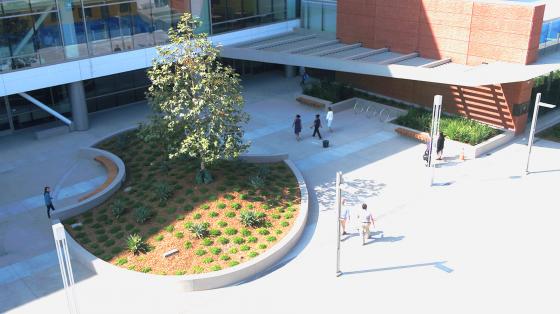 County Service Center Entrance