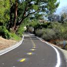 Aliso Creek Trail Slope Image