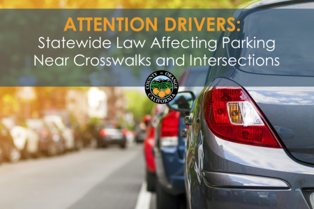 Daylight Parking Law Video Image